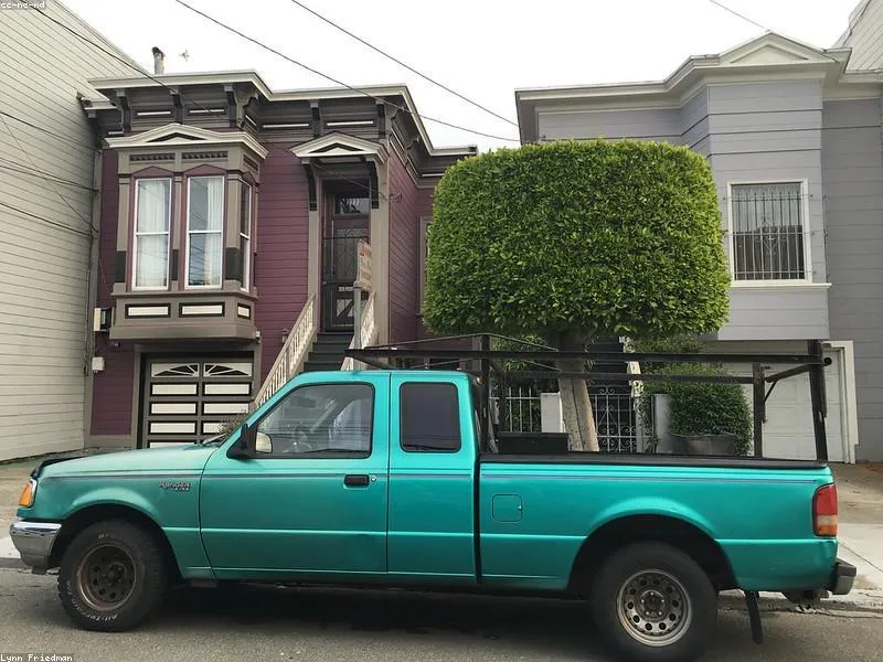 Tree trimming